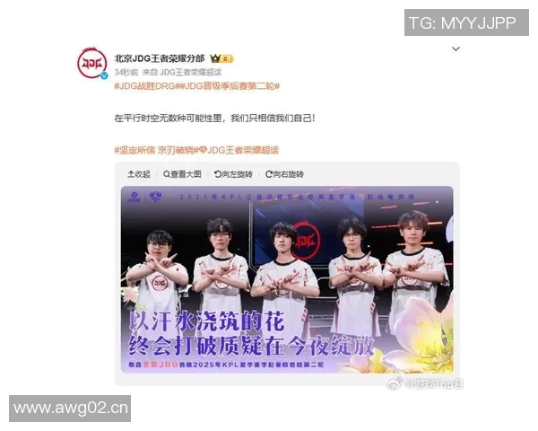 王者荣耀深度解析：JDG战队意识与团队协作的成功之道